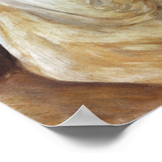 Mädchen mit Katze, Auguste Renoir Poster (Ecke)