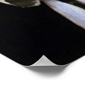 Mädchen mit Kittens, Albert Anker Poster (Ecke)