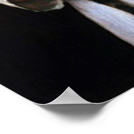 Mädchen mit Kittens, Albert Anker Poster (Ecke)