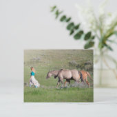 Mädchen mit Pferden Postkarte (Stehend Vorderseite)