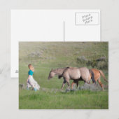 Mädchen mit Pferden Postkarte (Vorne/Hinten)