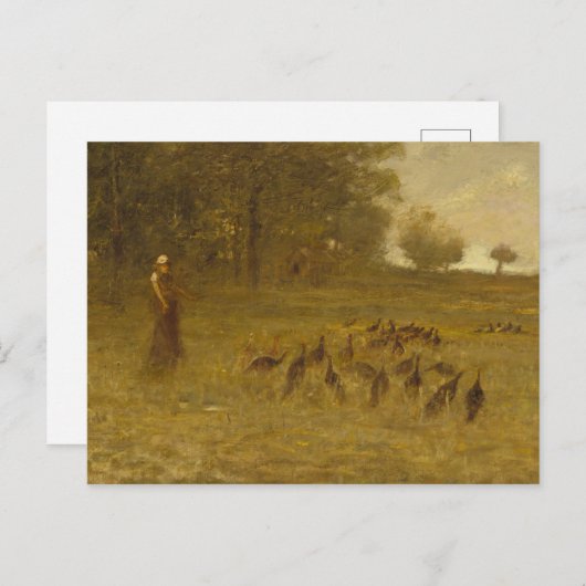 Mädchen mit Truthühnern Postkarte (Vorne/Hinten)