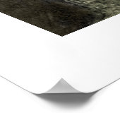 Mädchen mit weißem Hund Poster (Ecke)