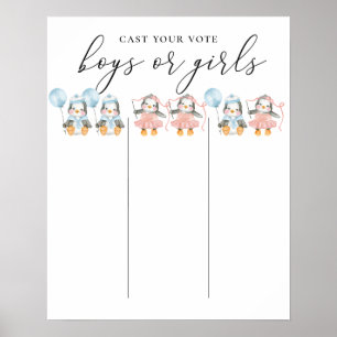 Mädchen oder Junge. Zwei Geschlechter offenbaren. Poster