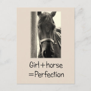Mädchen + Pferd = Perfektion Postkarte