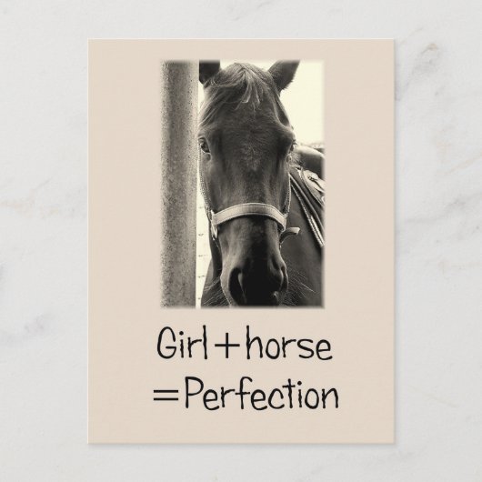 Mädchen + Pferd = Perfektion Postkarte (Vorderseite)