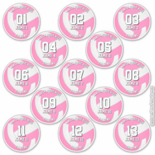 Mädchen-Pink-Volleyball-Team-Aufkleber 13 Athleten Aufkleber