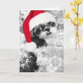 Mädchen-Raum-Gruß-Karte Sankt Shih Tzu Karte (Gelbe Blume)