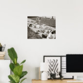 Mädchen Sonnenbaden, 1943. Vintages Foto Poster (Heimbüro)