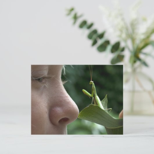 Mädchen und Mantis religiosa Postkarte (Stehend Vorderseite)