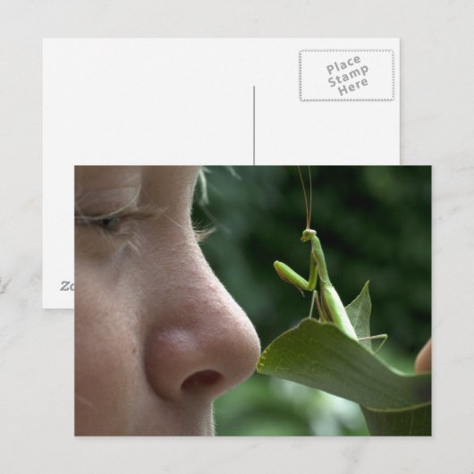 Mädchen und Mantis religiosa Postkarte (Vorne/Hinten)
