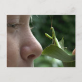 Mädchen und Mantis religiosa Postkarte (Vorderseite)