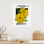 Mädchenauge Poster (Küche)