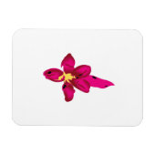 Mädchendesign, leichtes Gold, purpurpurrot Magnet (Horizontal)