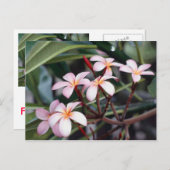 Mädchenpostkarten Postkarte (Vorne/Hinten)