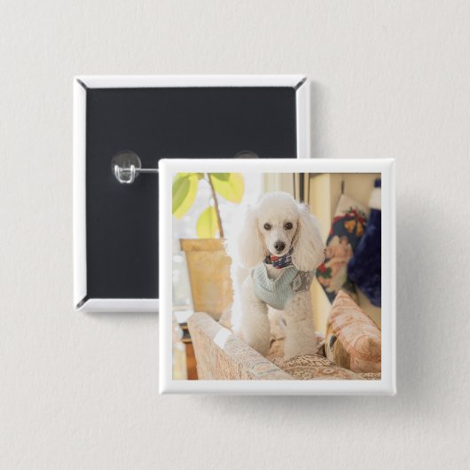 Maddie Button (Vorne & Hinten)