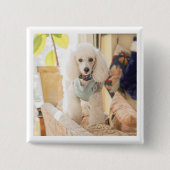 Maddie Button (Vorderseite)