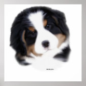 MadDog's Baby Face Print Poster (Vorne)