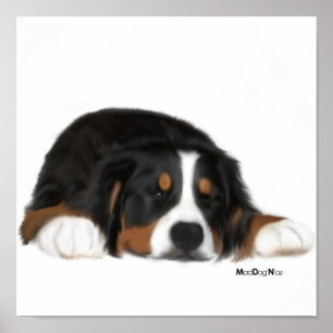 MadDogs Sneak ein Blicks-Druck Poster