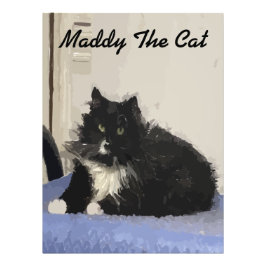 Maddy The Cat Poster Foto