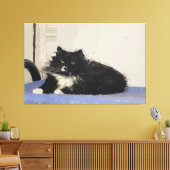 Maddy The Cat Stretched Canvas Print Leinwanddruck (Insitu (Wohnzimmer))
