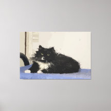 Maddy The Cat Stretched Canvas Print