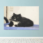 Maddy The Cat Stretched Canvas Print Leinwanddruck (Insitu (Holzboden))