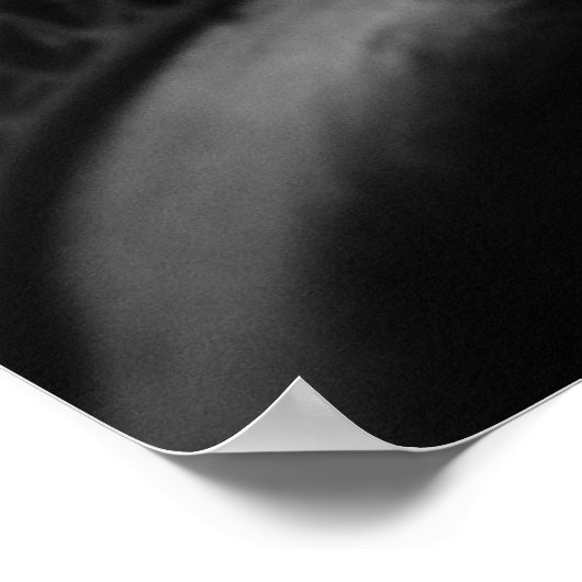 Made in the USA Poster (Ecke)