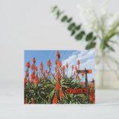 Madeira Aloe Postcard, personalisieren Postkarte (Stehend Vorderseite)