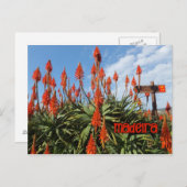 Madeira Aloe Postcard, personalisieren Postkarte (Vorne/Hinten)