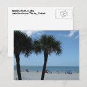 Madeira Beach Palms Postcard Postkarte (Vorne/Hinten)