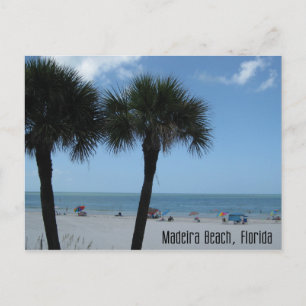 Madeira Beach Palms Postcard Postkarte