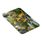 Madeira - Birds of Paradise Magnet (Rechte Seite)