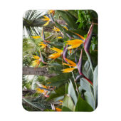 Madeira - Birds of Paradise Magnet (Vertikal)