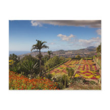 Madeira - Botanischer Garten von Funchal Postkarte