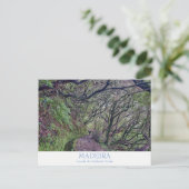 Madeira - Caldeirao Verde Postkarte mit Text (Stehend Vorderseite)