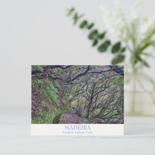 Madeira - Caldeirao Verde Postkarte mit Text (Stehend Vorderseite)