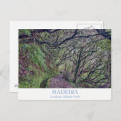Madeira - Caldeirao Verde Postkarte mit Text (Vorne/Hinten)