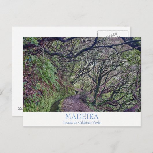 Madeira - Caldeirao Verde Postkarte mit Text (Vorne/Hinten)