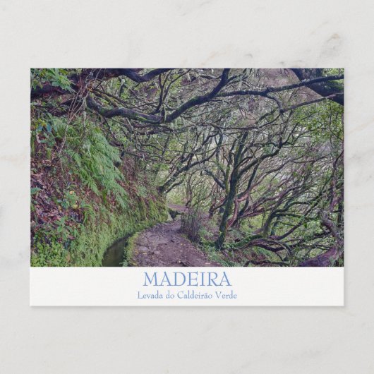 Madeira - Caldeirao Verde Postkarte mit Text (Vorderseite)