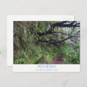 Madeira - Caldeirao Verde Postkarte mit Text (Vorne/Hinten)