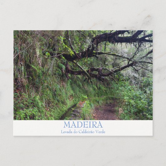 Madeira - Caldeirao Verde Postkarte mit Text (Vorderseite)