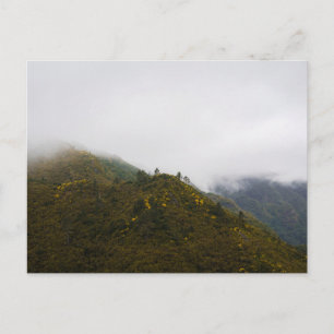 Madeira-Hügel in nebligen Wolken, launische Natur Postkarte