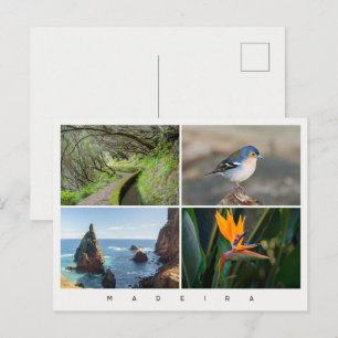 Madeira-Insel-Foto-Collage, moderne Reise Postkarte