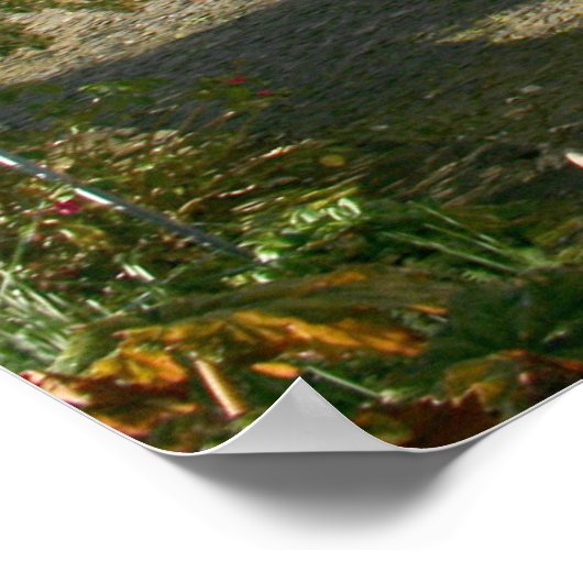 Madeira Island Foto mit typischen Häusern, Portuga Poster (Ecke)