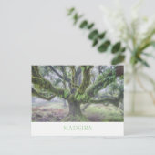 Madeira - Laurel Baum Postkarte mit Text (Stehend Vorderseite)