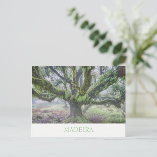 Madeira - Laurel Baum Postkarte mit Text (Stehend Vorderseite)