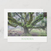 Madeira - Laurel Baum Postkarte mit Text (Vorne/Hinten)