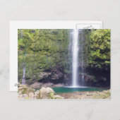 Madeira - Levada Do Caldeirao Verde Postkarte (Vorne/Hinten)