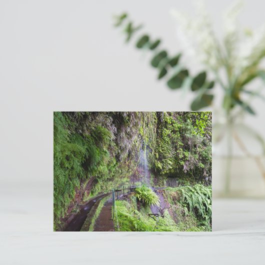 Madeira - Levada do Rei Postkarte (Stehend Vorderseite)